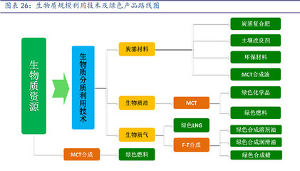 三聚環(huán)保 能源與環(huán)保的交匯明珠，生物質(zhì)能源產(chǎn)品前景廣闊